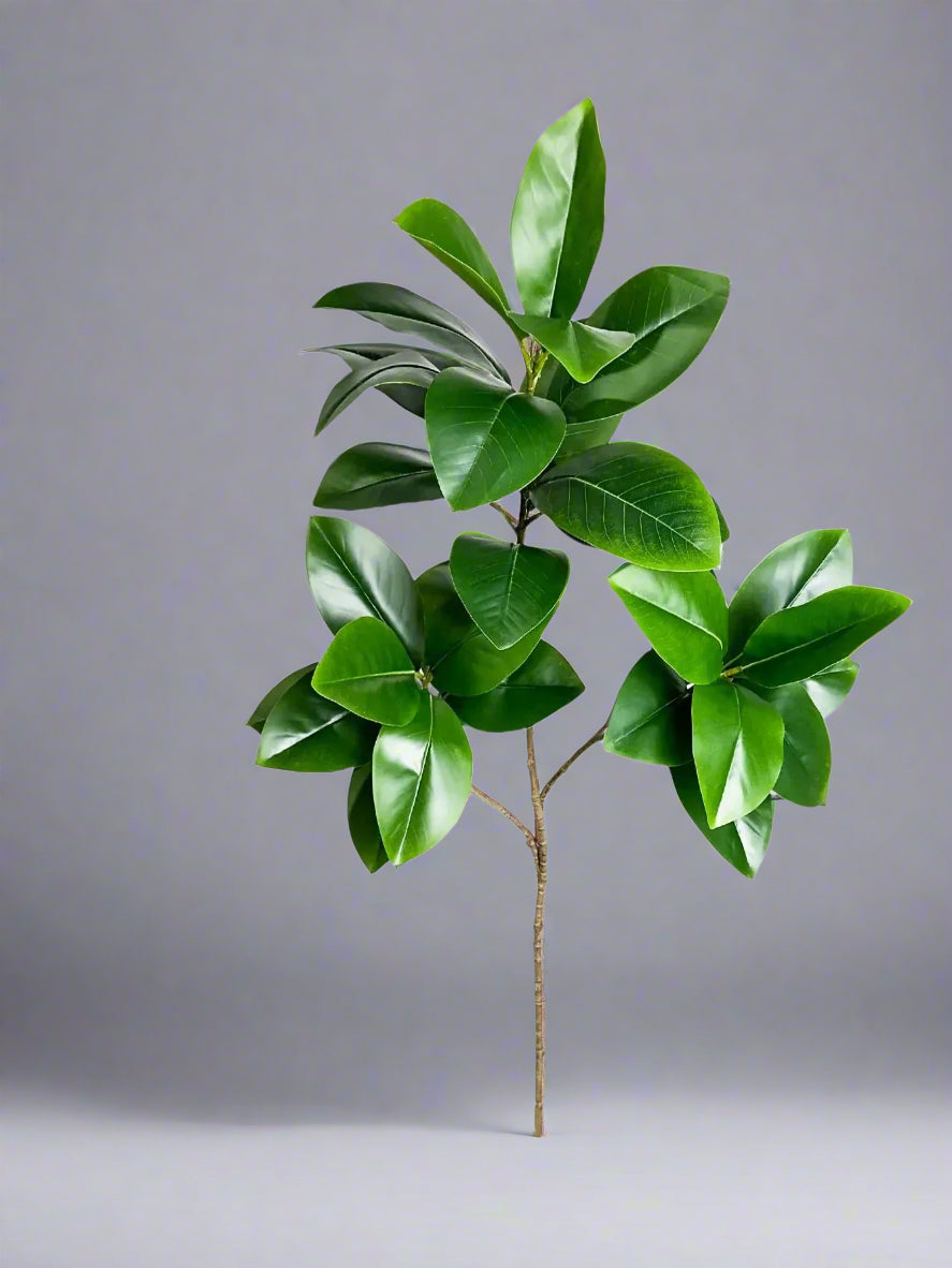 Grace Artificial Fiddle Leaf Fig Decorative Trees